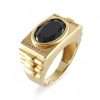 14k Yellow Gold Black Stone Oval Ring for Men 5 Black Stone Oval Ring