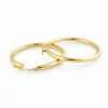 Two gold hoop earrings displayed together