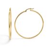 Gold hoop earrings on white background